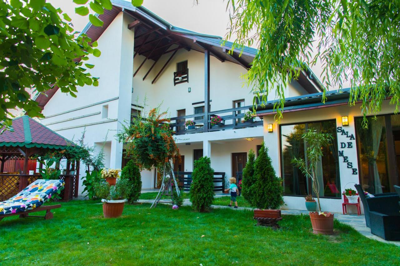 Pensiunea Puiu Afumati Exterior photo