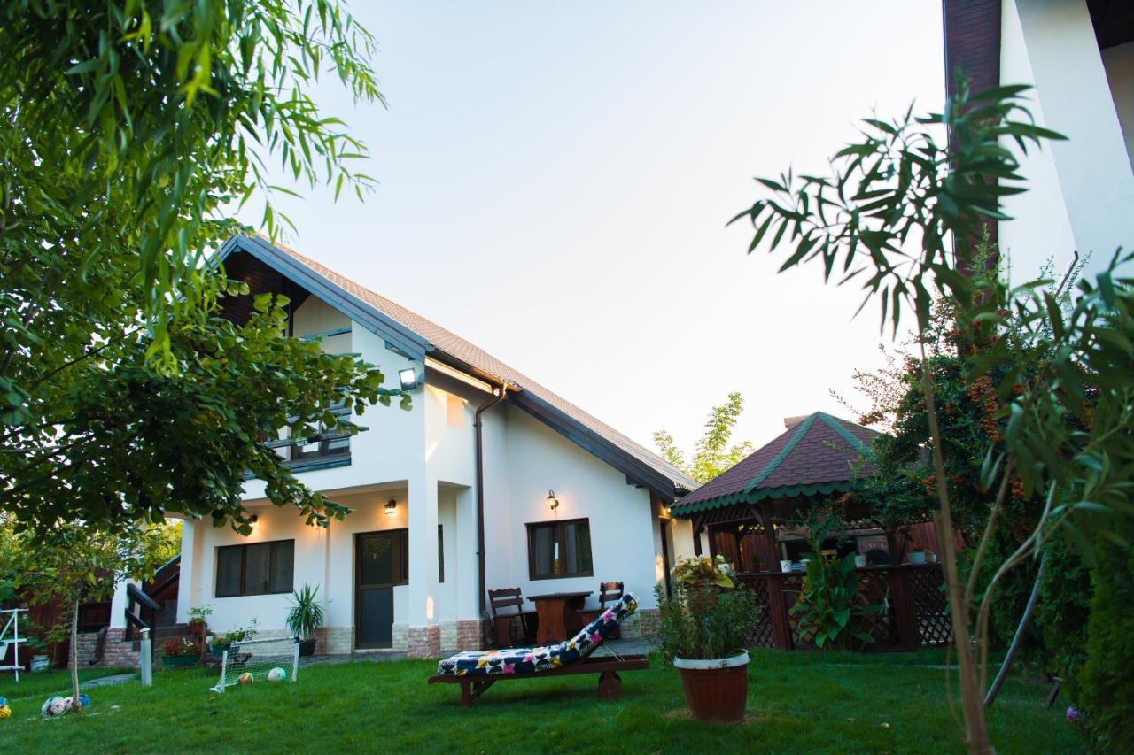 Pensiunea Puiu Afumati Exterior photo