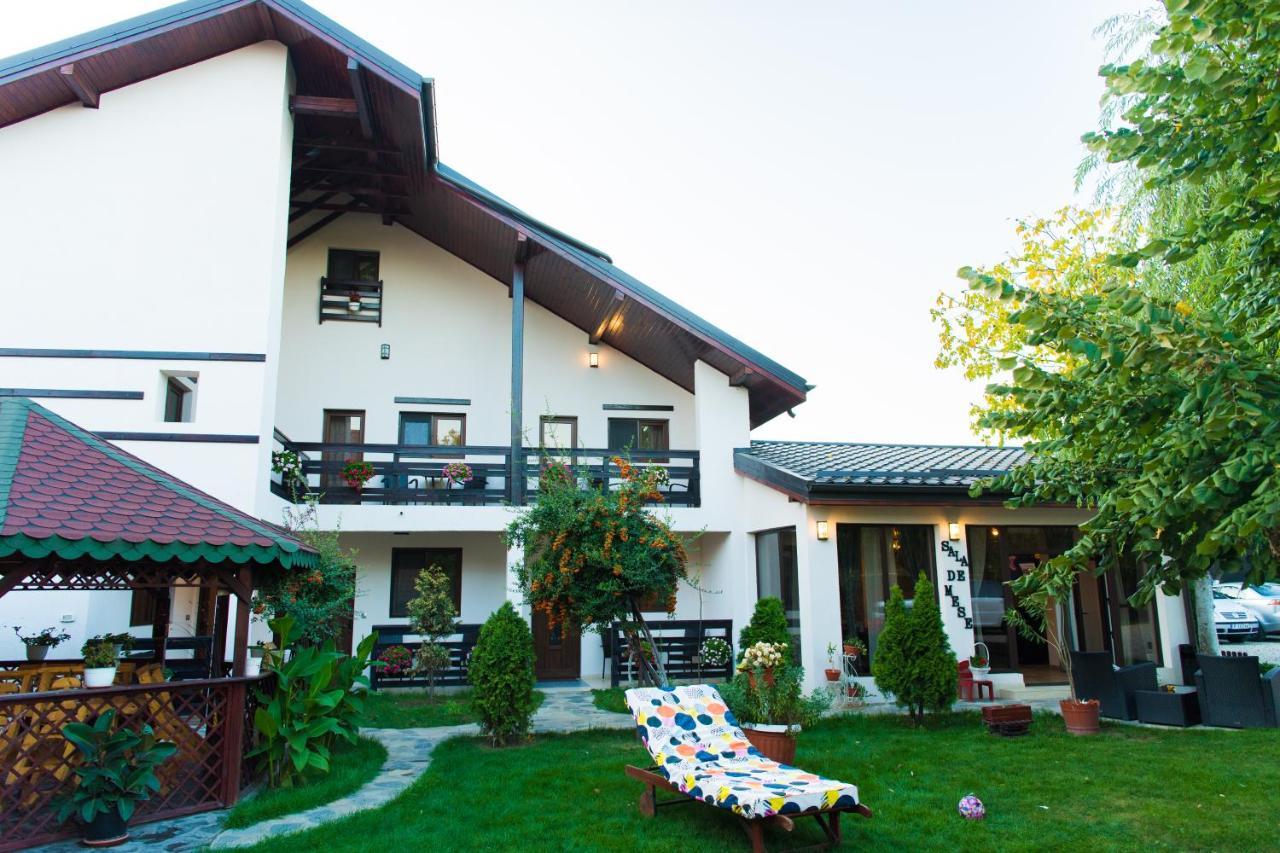 Pensiunea Puiu Afumati Exterior photo