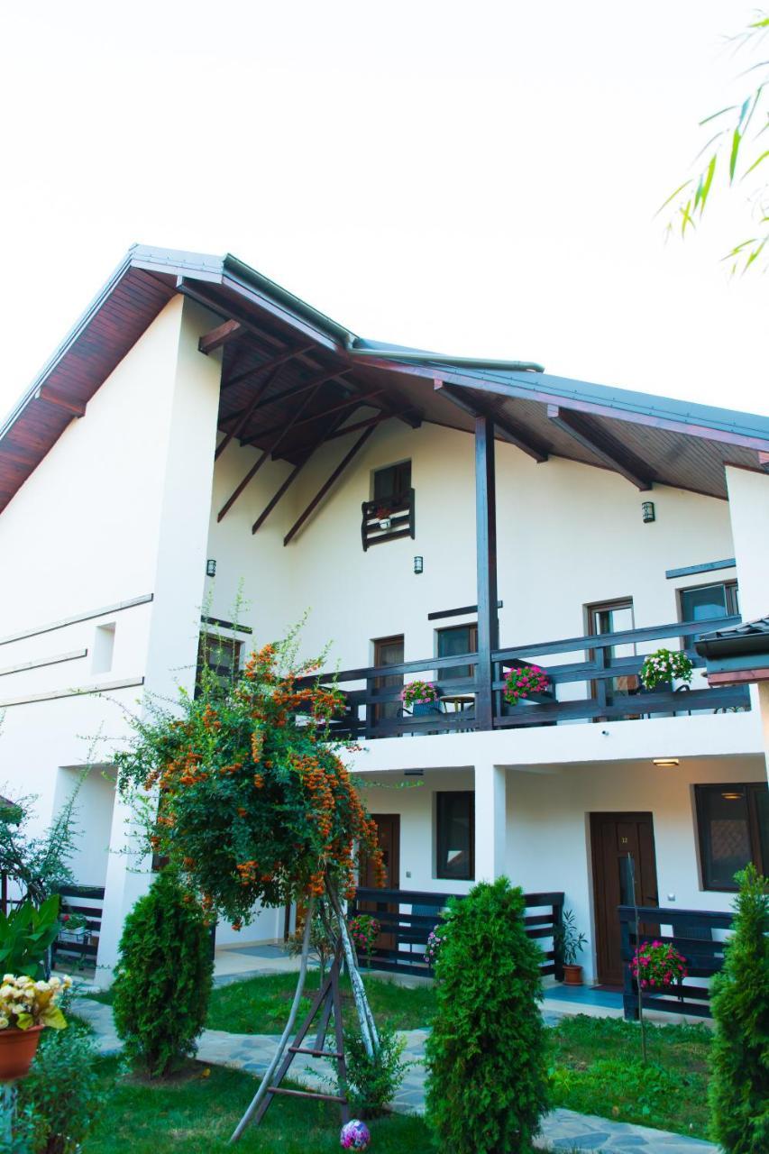 Pensiunea Puiu Afumati Exterior photo
