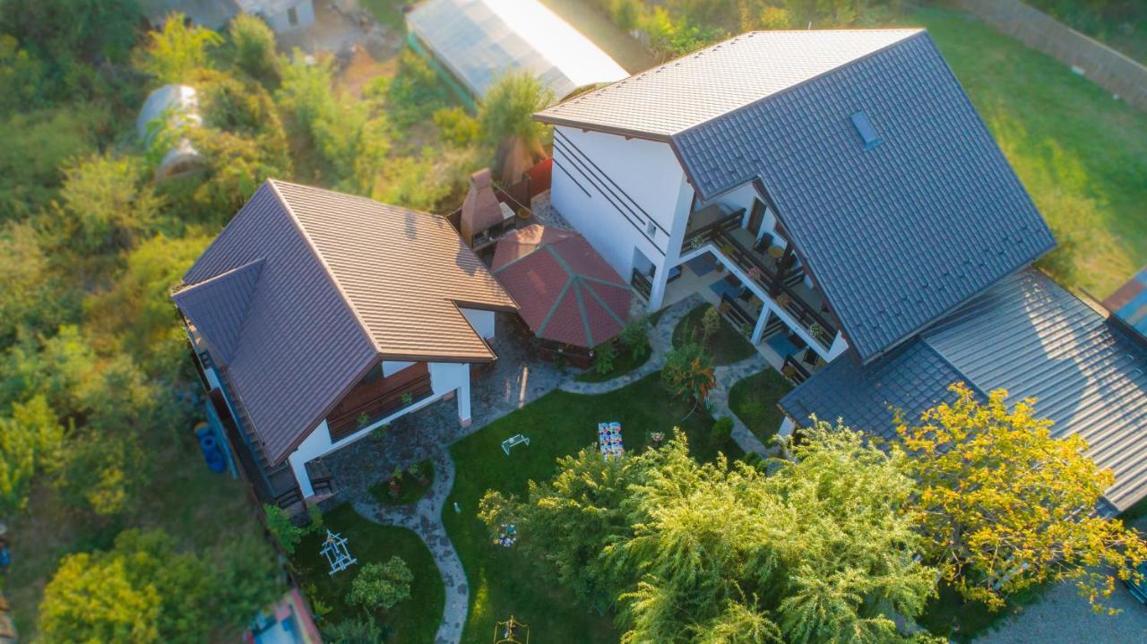 Pensiunea Puiu Afumati Exterior photo