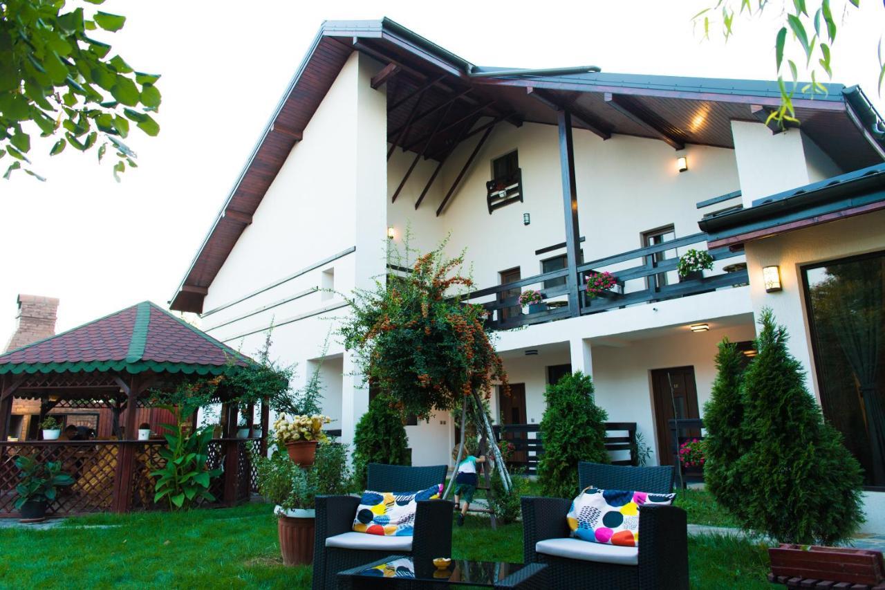 Pensiunea Puiu Afumati Exterior photo