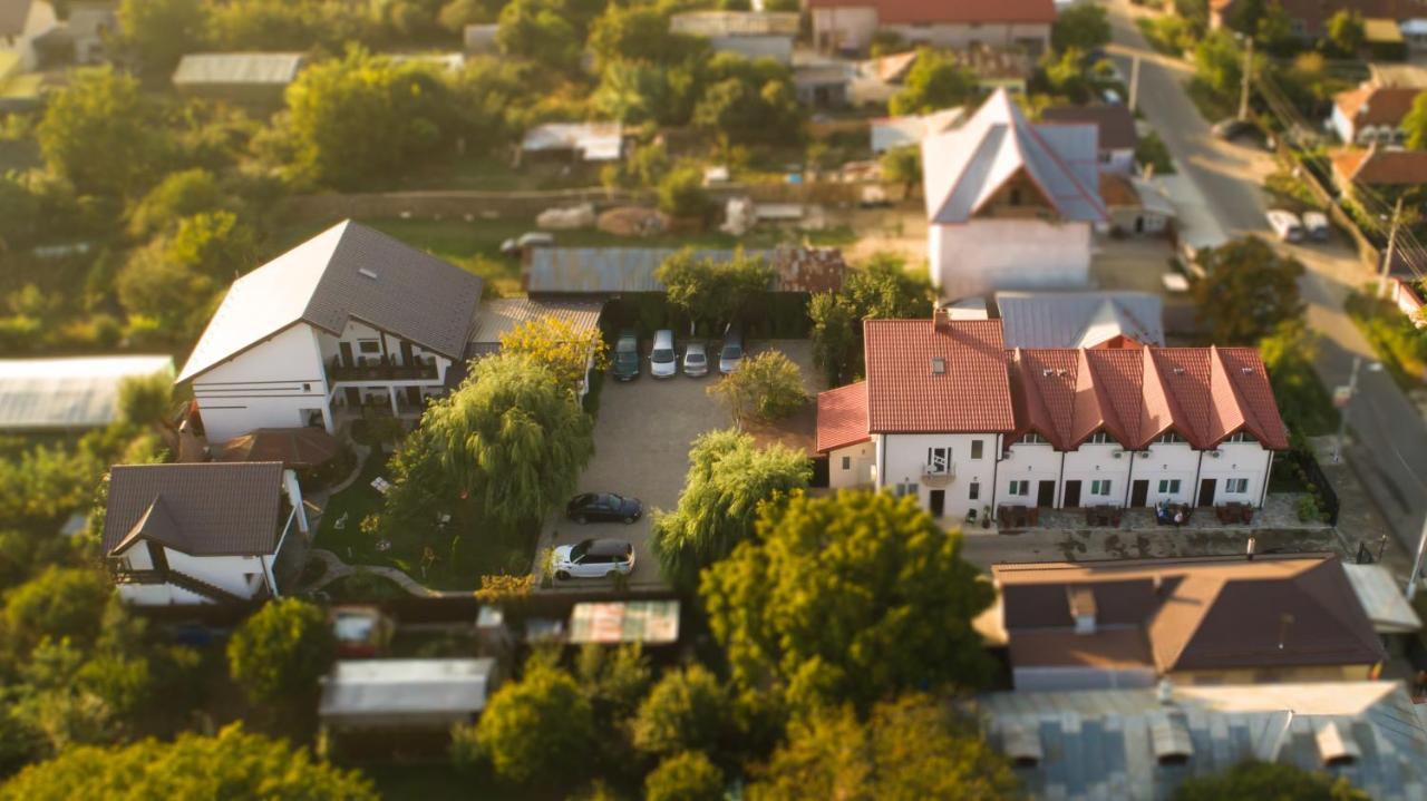 Pensiunea Puiu Afumati Exterior photo